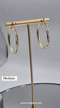 Load image into Gallery viewer, 10K Gold Earrings with czz
