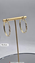 Load image into Gallery viewer, 10K Gold Earrings with czz