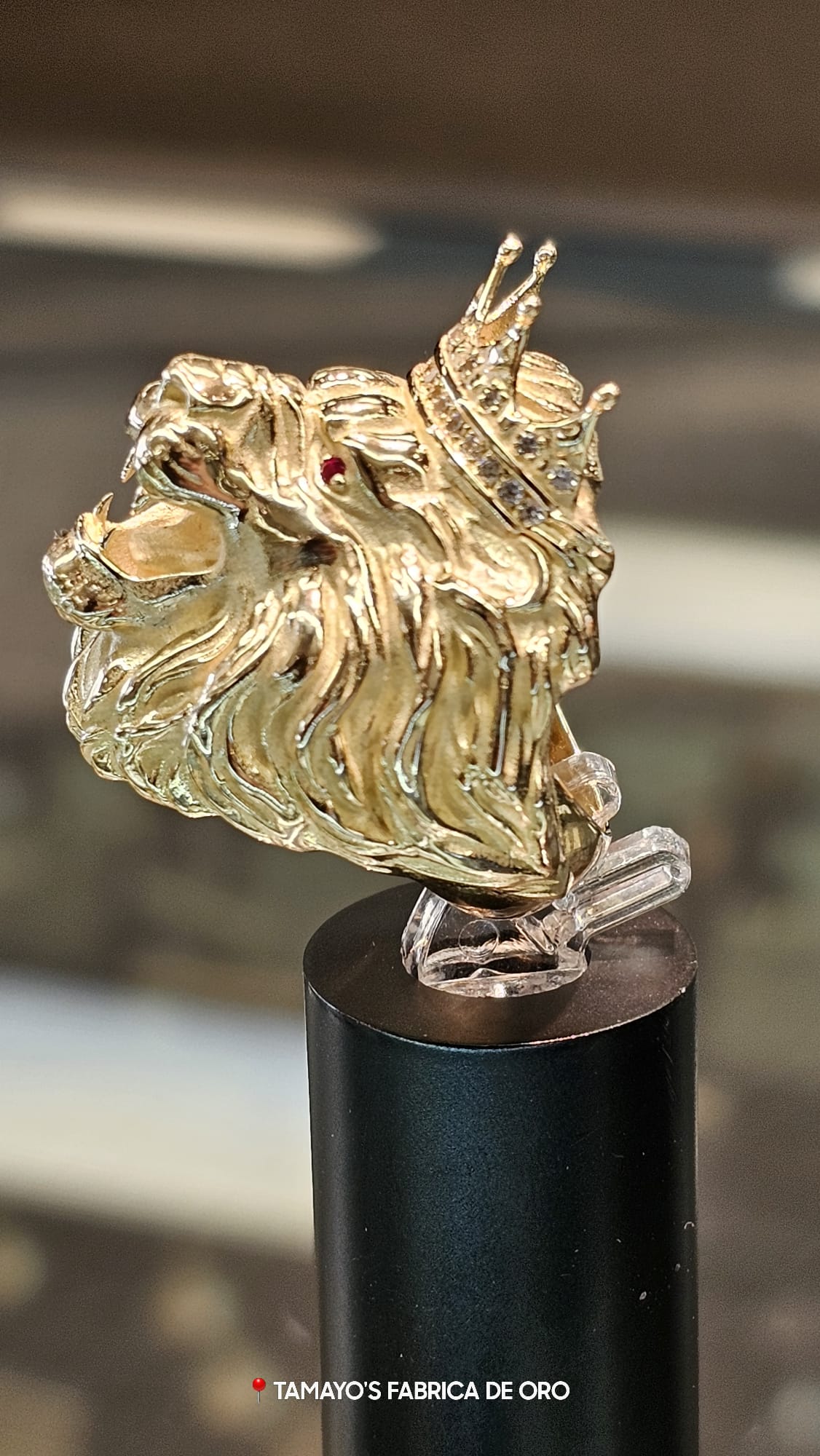 Stainless Steel w/14k Accent Polished Lion Head Ring: Precious Accents, Ltd.