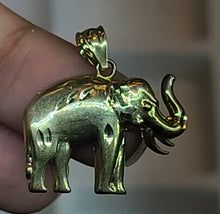 Load image into Gallery viewer, Yellow Gold Elephant Pendant