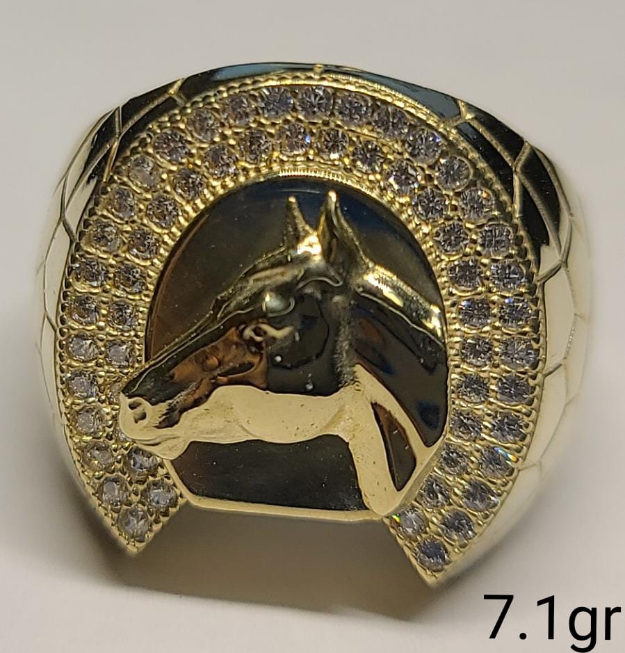 Horse shoe 10K Gold Ring